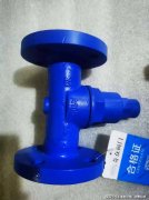 在巩固国内市场份额的同