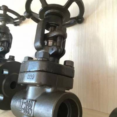 中东和非洲工业阀门主要终端应用领域格局分析 (2020年-2031年)