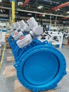 同时也有望在国际市场上